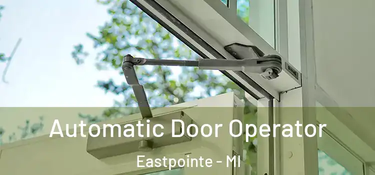 Automatic Door Operator Eastpointe - MI
