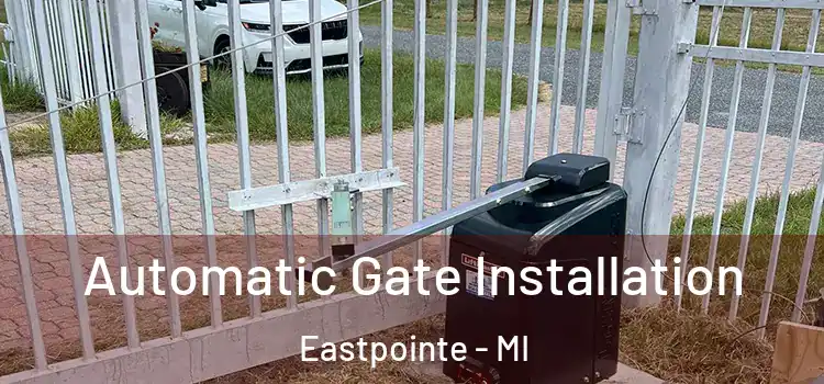 Automatic Gate Installation Eastpointe - MI