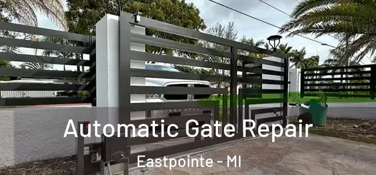 Automatic Gate Repair Eastpointe - MI