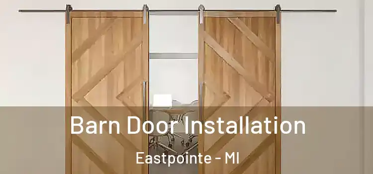 Barn Door Installation Eastpointe - MI