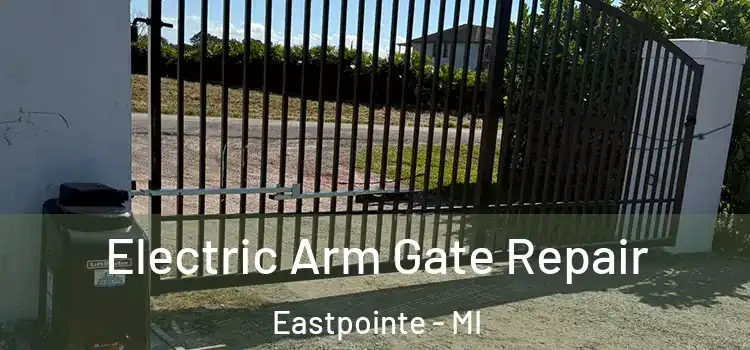 Electric Arm Gate Repair Eastpointe - MI