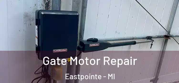 Gate Motor Repair Eastpointe - MI