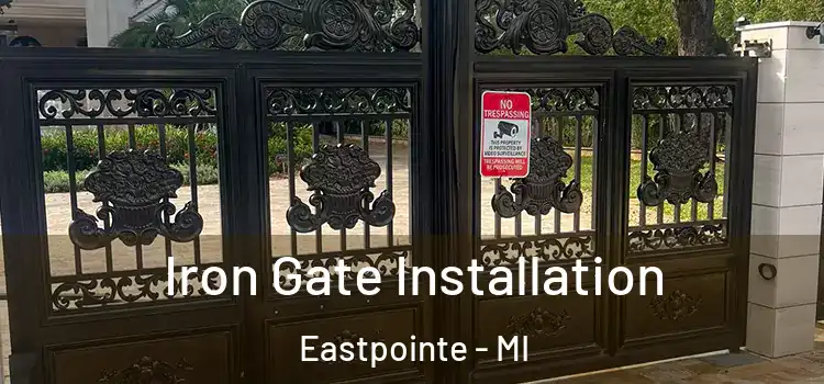 Iron Gate Installation Eastpointe - MI